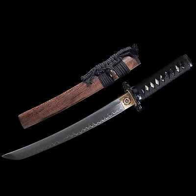 US Clay Tempered T10 Steel Real Hamon Razor Sharp Japanese Samurai Tanto Sword • $96.66