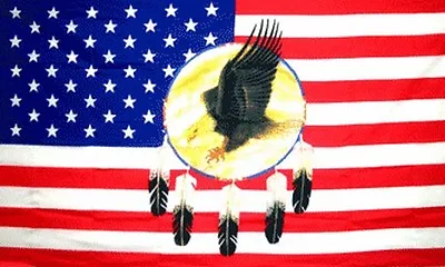 $10.89 • Buy Dreamcatcher Eagle US Flag 3x5 USA United States America Native American Indian