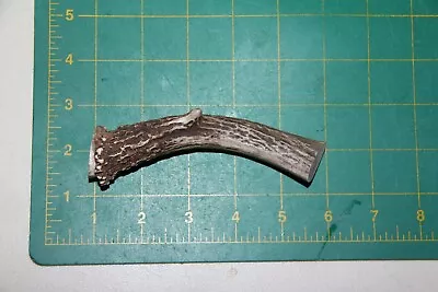 Small Whitetail Deer Antler Base #1 Knife Handle / Sheds Antlers Mule Deer 323 • $7