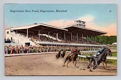 Postcard Horse Race Track Hagerstown Maryland MD Vintage Linen J12 • $10.99