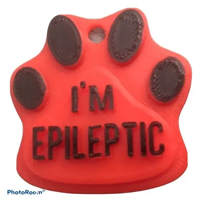 Dog Epilepsy Tag Epileptic Medical Tags Canine Epilepsy • £3