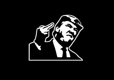 Trump MAGA Middle Finger Flip The Bird Funny DieCut Vinyl Window Decal Sticker • $9.95