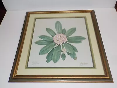 C Don Ensor 'Rhododendron' Signed Collector Print Framed & Matted Vintage • $74.99