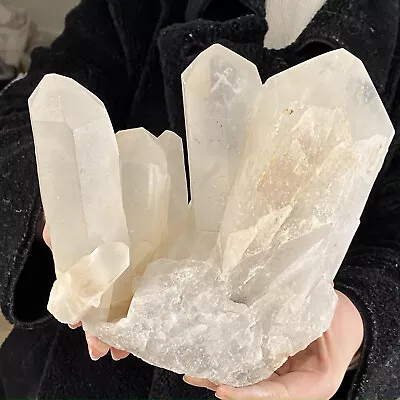 6.85LB Natural White Crystal Himalayan Quartz Cluster Mineralsls • $0.99