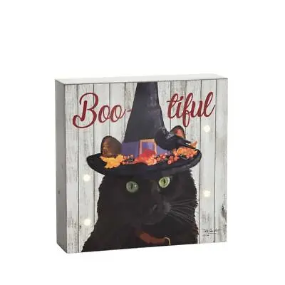 Black Cat In A Witch Hat Halloween Themed LED Lighted Wall Shelf Decoration Box • £19.72