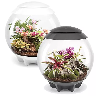 £269.99 • Buy BiOrb Air 60L Terrarium Acrylic Viv LED Lighting Mister Tropical Reptile Oase