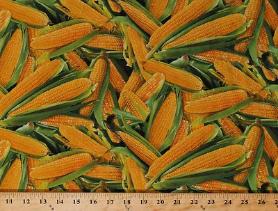 Food Festival Corn On The Cob Vegetables Cotton Fabric Print By Yard D564.26 • $11.95