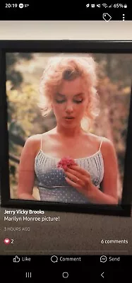 MARILYN MONROE WITH FLOWER Framed Poster 24  X 36  - NEW • $10