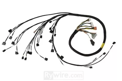 Rywire 02-04 K-Series RWD Mil-Spec Eng Harn W/02-04 Wiring/K-Pro/S2K Tran/K-Ser • $988.90