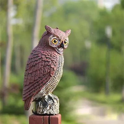 Sharprepublic Realistic Owl Hunting Decoy Ornament Statues Bird Repellent Garden • £12.10
