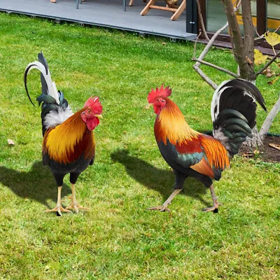 £4.99 • Buy Acrylic Rooster Chicken Stakes Outdoor Garden Decoration Yard Figure Sculpture