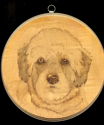 £12.50 • Buy Dandie Dinmont Terrier DDT Dog Art Round Wooden Painted / Etched Head Study 2003
