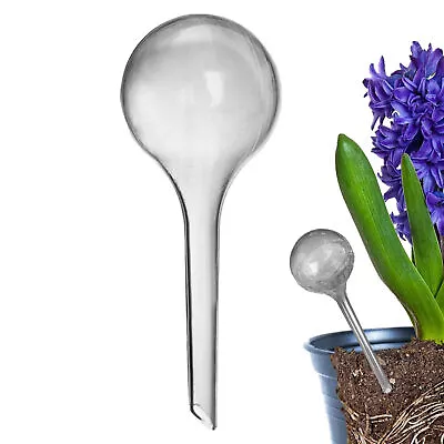 Plant Water Bulbs Clear Self-Water Globes Garden Automatic Watering Balls Device • £6.65