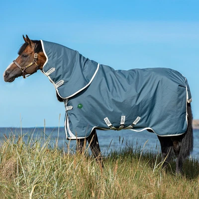 £173.95 • Buy Amigo AmECO 12 Plus 0g Turnout Horse Rug - Teal/Grey
