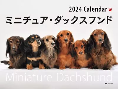 2024 Calendar Wide Format Miniature Dachshund (Seibundo Shinkosha Calendar) • £34.30