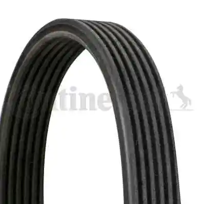 6dpk1215 Continental Ctam V-ribbed Belt For Seat Vw • $71.22