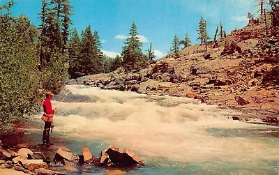 Trout Fly Fishing New Mexico Mountain Stream Vtg Postcard A20 • $7.55