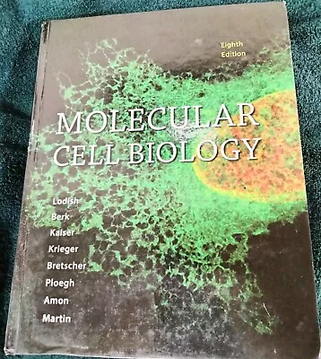 Molecular Cell Biology Arnold Berk Anthony Bretscher Harvey Lodish HC • $34.99