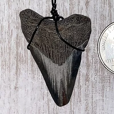 Shark Tooth Necklace With A Fossil Otodus Megalodon Tooth Found In Virginia • $10