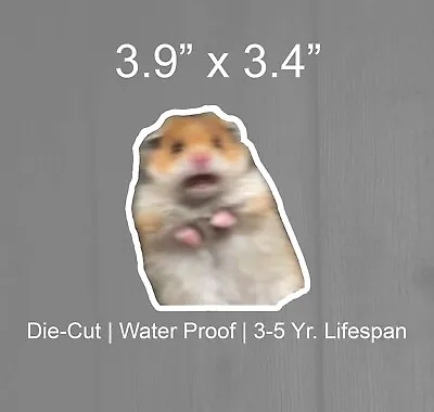 Scared Hamster Meme Funny Sticker Vinyl Sticker Car Decal  • $3.94