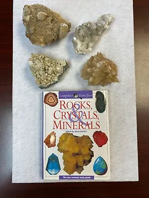 CALCITE CRYSTALS Of Montana Idaho Utah + BONUS Rock-Crystal-Mineral BOOK! • $29