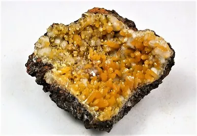 Minerals : Mimetite Crystals On White Calcite From Potosi Mine In Mexico • $34.50