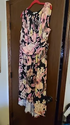 Plus Size AA Studio AA Sleeveless Beautiful Floral Hi Lo Dress Size 18W • $30