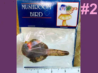 $9.75 • Buy BIRD Mushroom Cardiinal Blue Brown Craft Art Wreath Birdhouse Feather 1 Pk Raz  