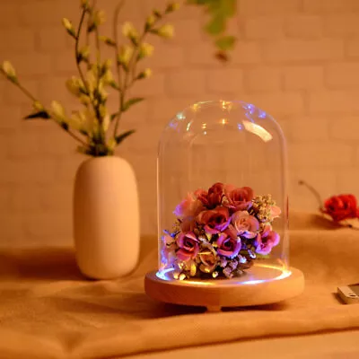 £8.95 • Buy Glass Display Cloche Bell Jar Dome With Wooden Base Decorative Desk Vintage UK