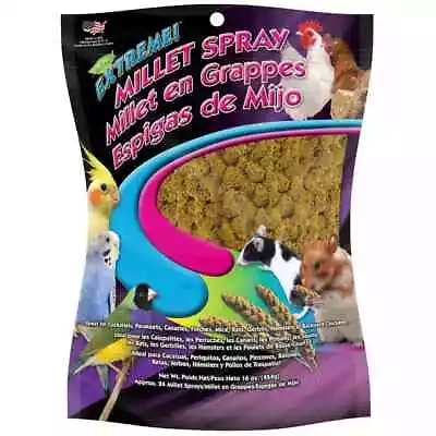 FM Brown Extreme Spray Millet Treat 16 Oz. Free Standard Shipping (New) • $12.99