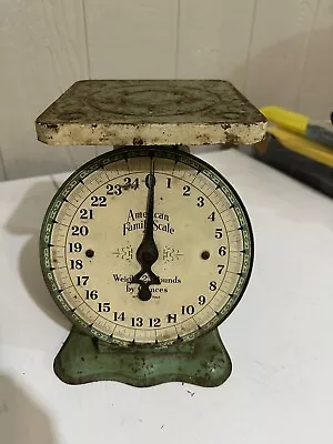 Antique American Family 25 LB Green Rustic Farmhouse Metal Family Kitchen Scale • $45