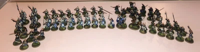 £400 • Buy Fiefdoms Dol Amroth Army Painted LOTR MESBG Lord Of The Rings