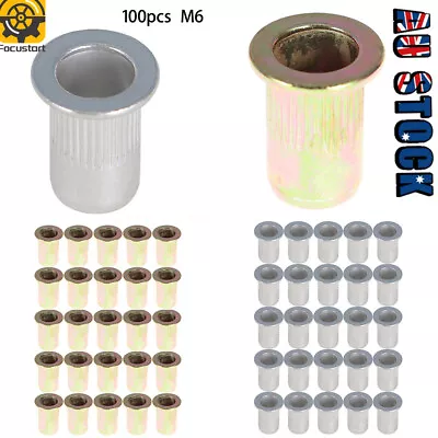 New 100pcs M6/8/10/12 Rivet Nuts Blind Nut Nutserts Rivnut Steel Aluminium Zinc • $12.99