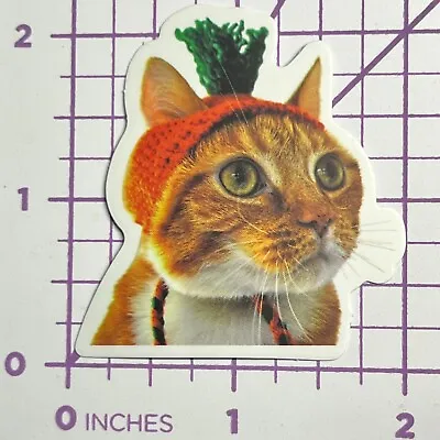 Carrot Hat Costume Kitty Cat - Vinyl Sticker Decal Sticker Bomb Humor Funny • £4.86