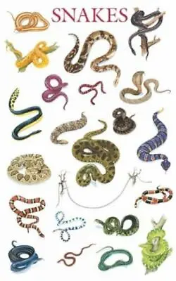 $20.59 • Buy * NEW - SNAKE BREEDS POSTER By Dover Pblications SNAKES