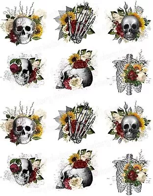 Skull Cake Topper Edible Party Decoration Gift Muffin Cupcake Image Flowers • $8.54