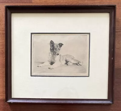 Morgan Dennis Signed Antique Etching Collie Or German Shepard Dog • $195