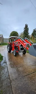 Massey Ferguson 240  2024 Small Holding Farming  • £14999