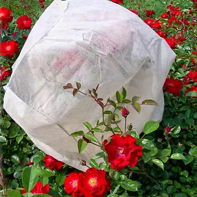 £4.99 • Buy Patio Frost Protection Fleece Horticultural Plant Garden Fleece 5/10m 17/30gsm