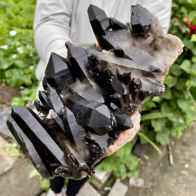 4.52LB Natural Smoky Black Quartz Cluster Crystal Specimen Healing • $31