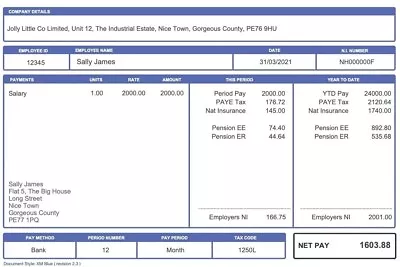 Copy Wage Slips X 1 Same Day Service PDF Friends Payroll Managerment • £15