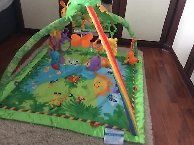 £12 • Buy Fisher-Price Jungle Rainforest Music And Lights Deluxe Gym Play Mat