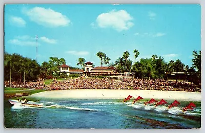 Postcard Mermaids Aquamaids Of Cypress Gardens • $3.88