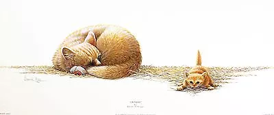 £16.89 • Buy WARWICK HIGGS  Catnap  Kitten CUTE Print, OUT-OF-art SIZE:25cm X 59cm  RARE