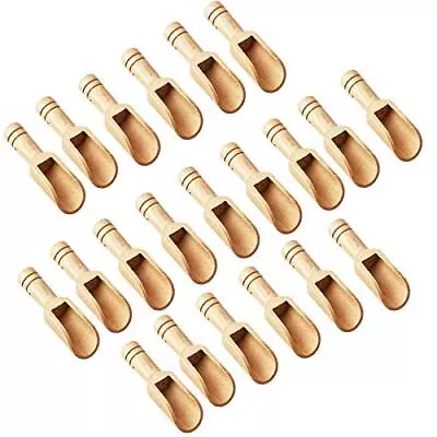 Arroyner 20 Pcs Mini Wooden Spoon Mini Bamboo Spoons Small Bath Salt Spoon Small • $12.54