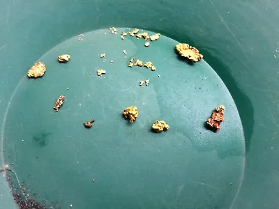 Unsearched & Added Gold - Gold Panning Paydirt- Look For Huge Nuggets • $23.50