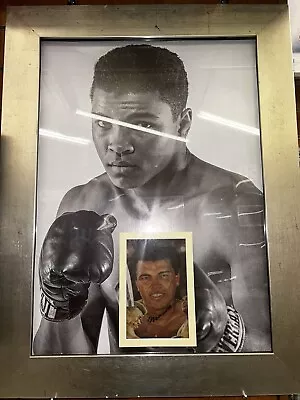 Muhammad Ali Signed Framed Boxing Picture Display With COA • £1000