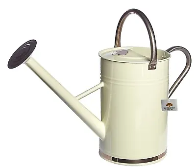 Garden Metal Watering Cans Outdoor Plant Watering Can And Rose 8L Coloured  • £25.98