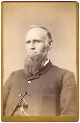 CIRCA 1880'S CABINET CARD Handsome Older Man Long Beard Hempsted Coshocton OH • $12.99