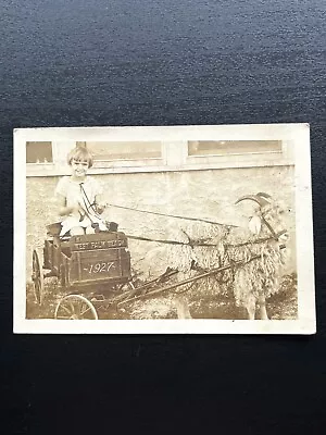 Vintage 1927 West Palm Beach Florida Child Riding In Goat Cart Wagon Photograph • $24.95